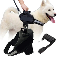 Dog Vest Harness with Leash for Pets